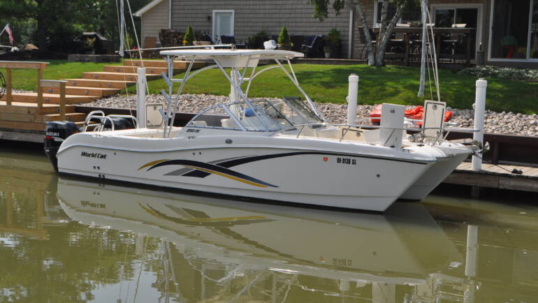 2008 World Cat 250 DC