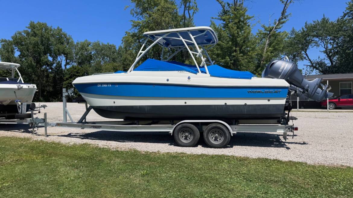 2019 230 SD World Cat