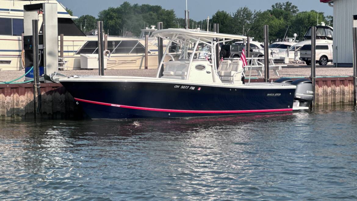 2013 28 Regulator
